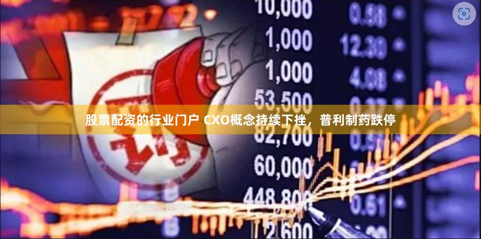 股票配资的行业门户 CXO概念持续下挫，普利制药跌停