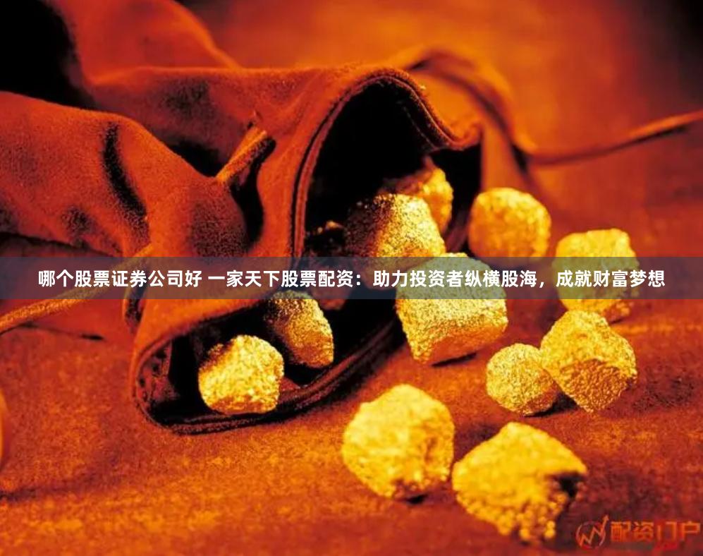 哪个股票证券公司好 一家天下股票配资：助力投资者纵横股海，成就财富梦想