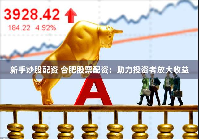 新手炒股配资 合肥股票配资：助力投资者放大收益